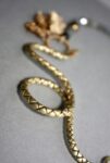 Collier Serpent